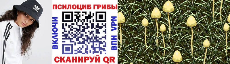 Галлюциногенные грибы мицелий  Боровск 